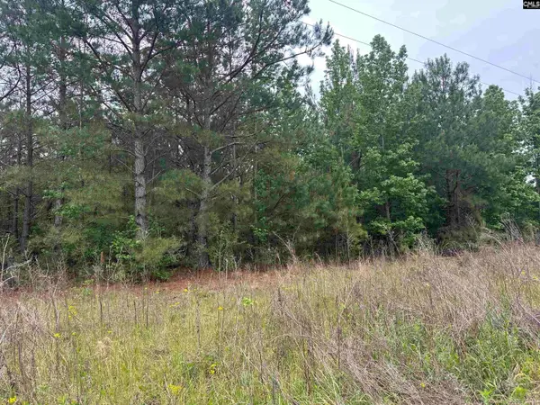 Tract 4 Patrick Highway, Hartsville, SC 29550