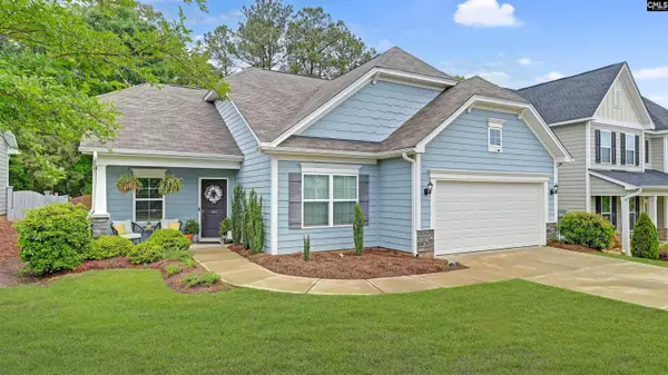 482 Malachite Lane, Chapin, SC 29036