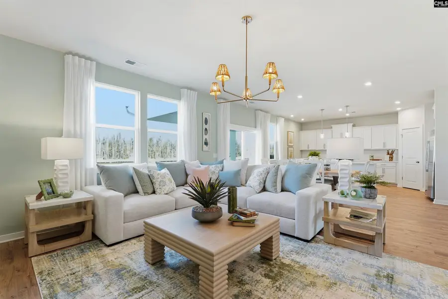 321 Brass Billion Path, Lexington, SC 29073 - #3