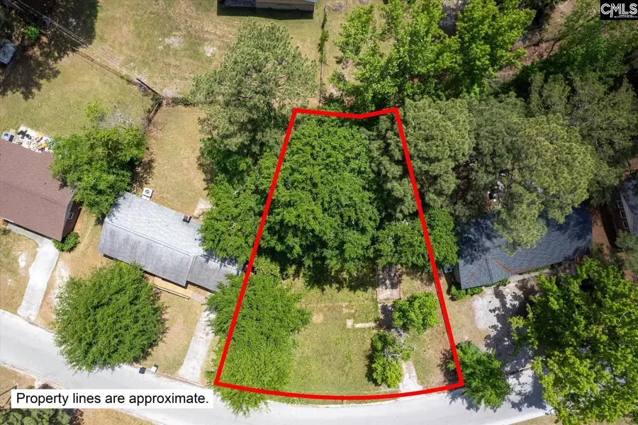 320 Creighton Drive, West Columbia, SC 29172 - #2
