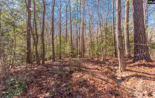 0 Morgan Drive, Lexington, SC 29072