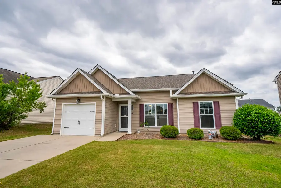807 Dovefield Lane, Lexington, SC 29073 - #2