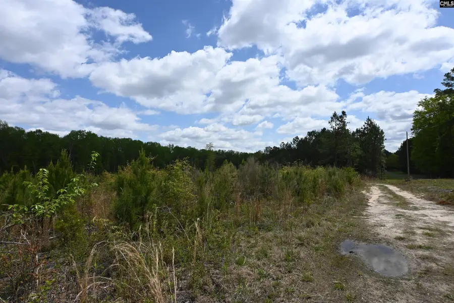0 Platt Springs Road, West Columbia, SC 29169 - #3