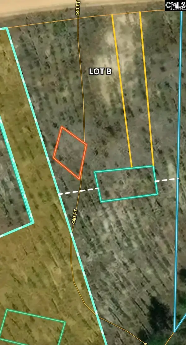 0A Big Branch Rd, Wagener, SC 29164