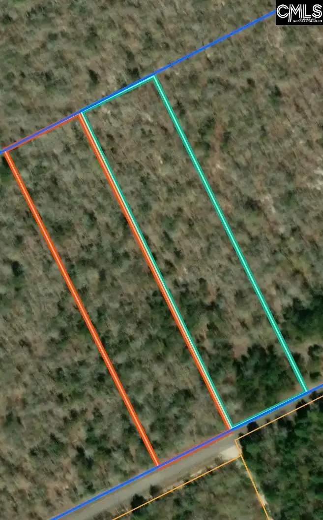 0B Big Branch Road, Wagener, SC 29164 - #1