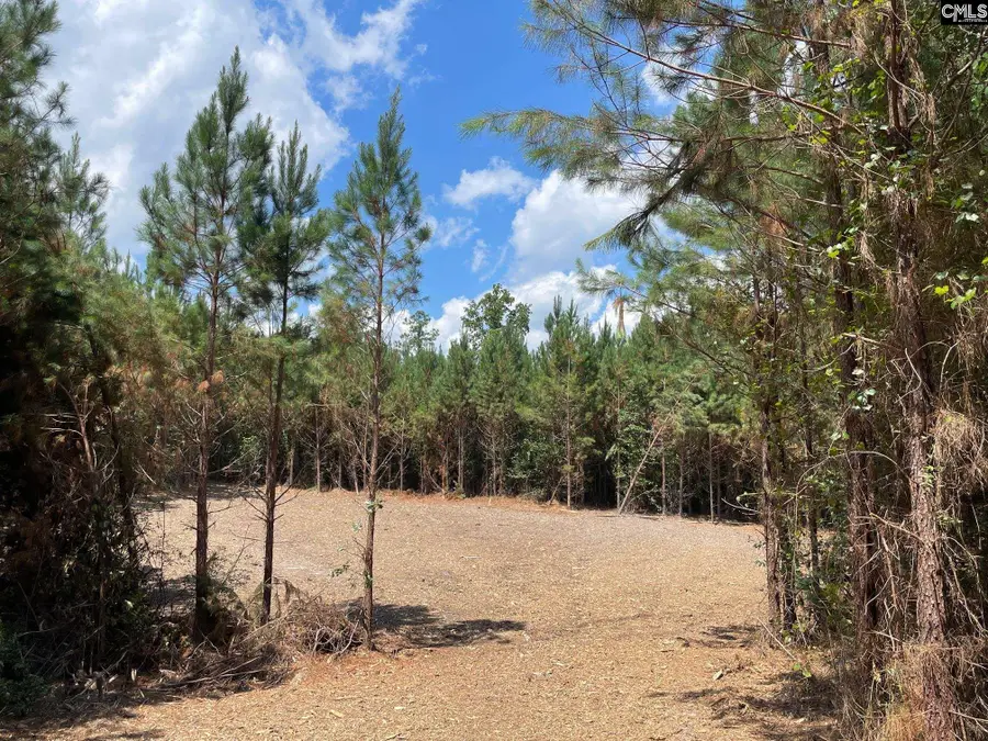00 Lake Elliot Road, Cassatt, SC 29032 - #2