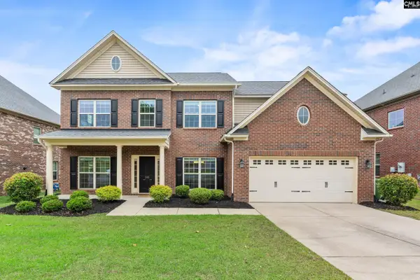 145 Indian Grass Drive, Chapin, SC 29036