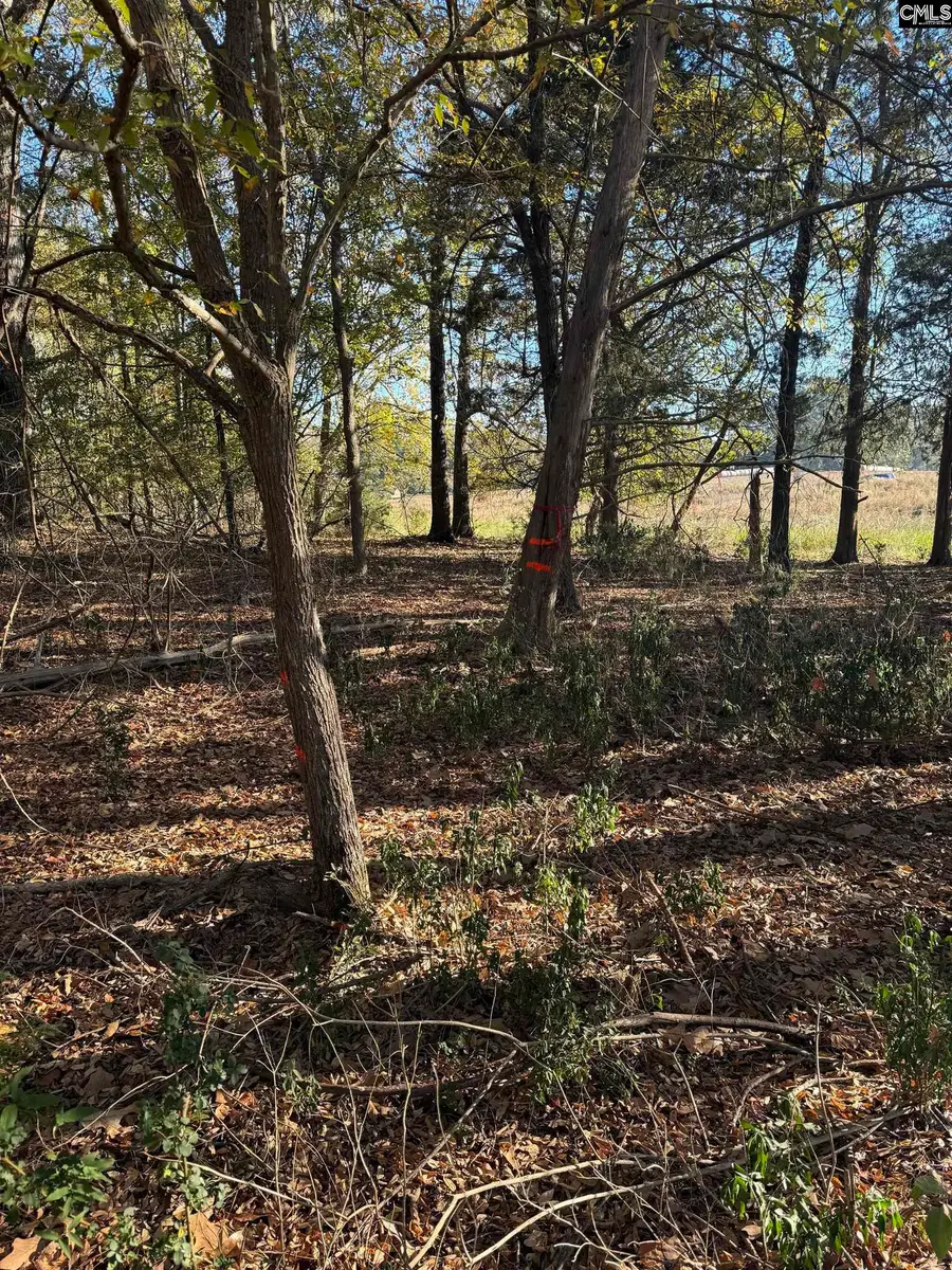 0 Amicks Ferry, Chapin, SC 29036 - #2