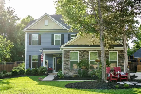 303 Pine Meadow Drive, Chapin, SC 29036