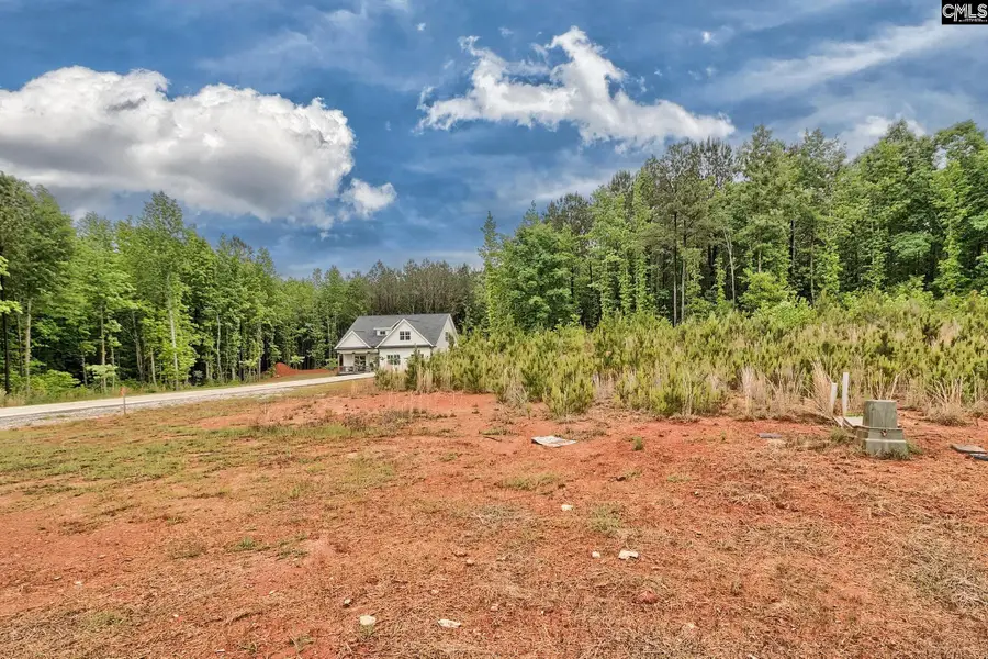 Clouds Creek Circle, Leesville, SC 29138 - #3