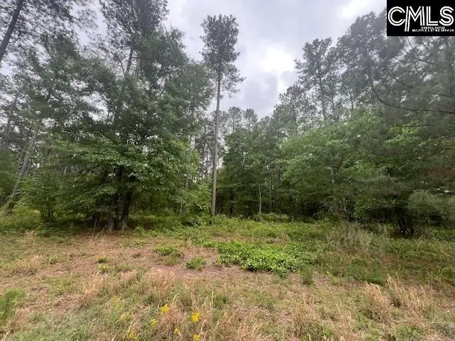 Fox Young Road, Wagener, SC 29164 - #1