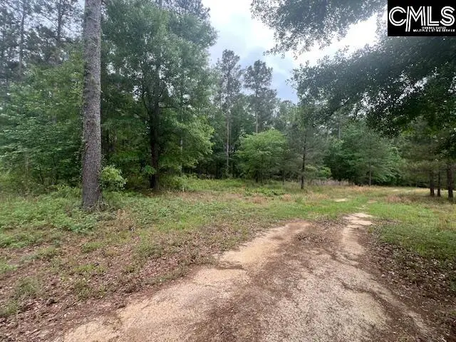 Fox Young Road, Wagener, SC 29164 - #2