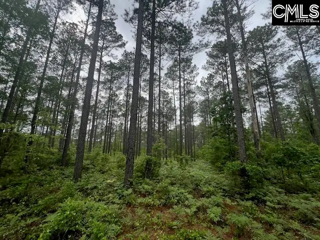 Fox Young Road, Wagener, SC 29164 - #3