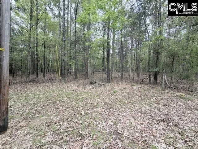 0 Kennerly Road, Irmo, SC 29063 - #2