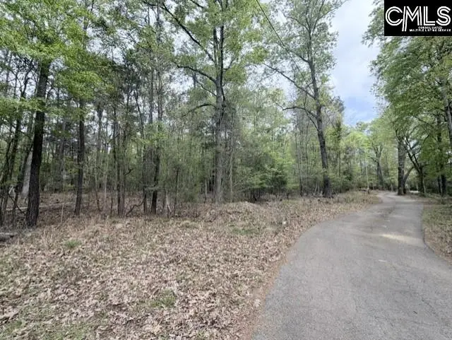 0 Kennerly Road, Irmo, SC 29063 - #3