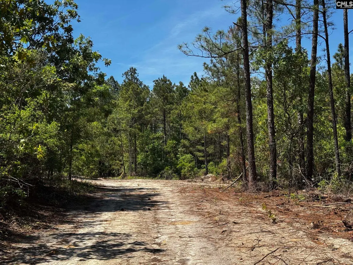 0 Sawyer Road, Monetta, SC 29105 - #1