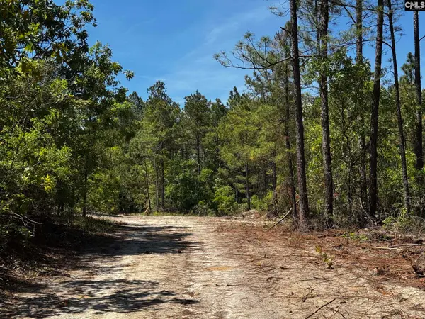 0 Sawyer Road, Monetta, SC 29105