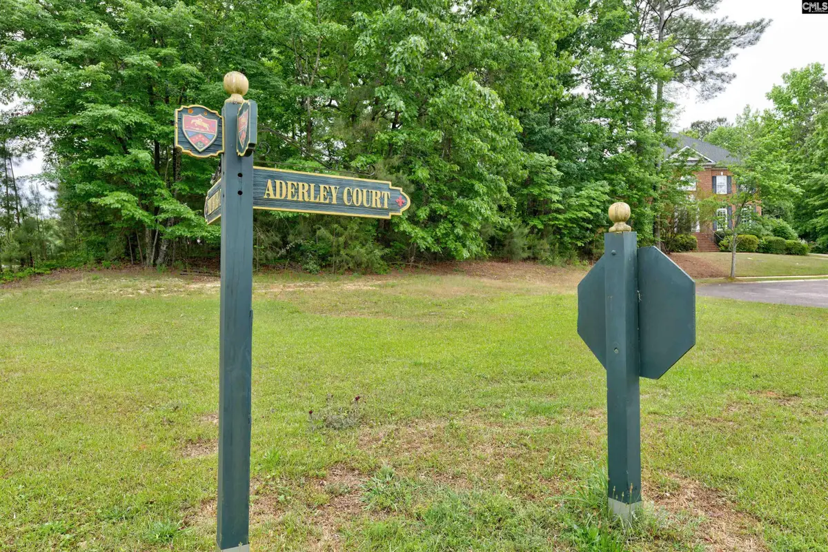 1 Aderley Court, Irmo, SC 29063 - #1