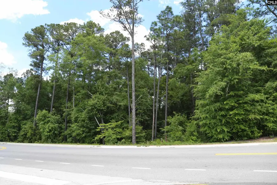 2944 Alpine Road, Columbia, SC 29223 - #2