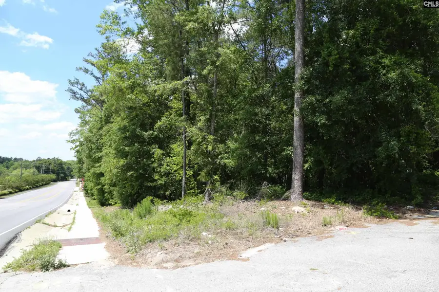 2944 Alpine Road, Columbia, SC 29223 - #3