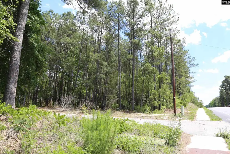 2956 Alpine Road, Columbia, SC 29223 - #3