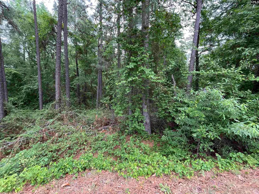 7008 Monticello Road, Columbia, SC 29203 - #3