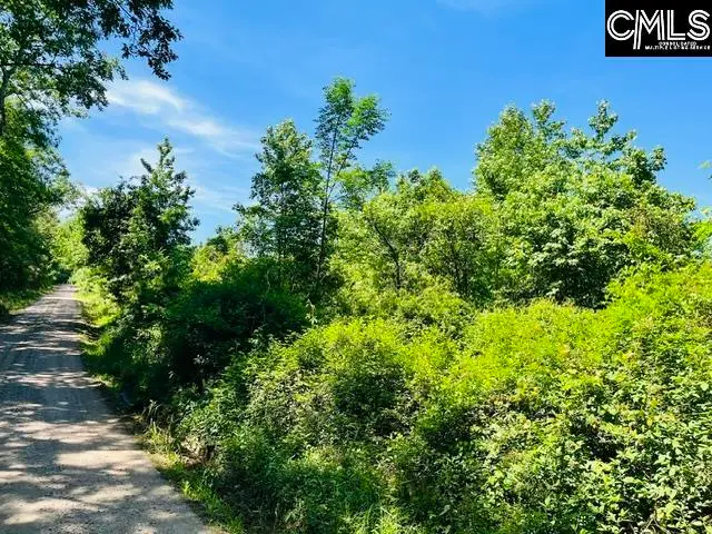 TBD Timberlane Road, Leesville, SC 29070 - #3