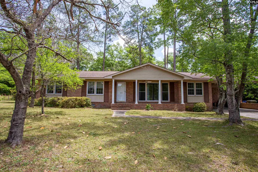 203 Welsh Street, Camden, SC 29020 - #2