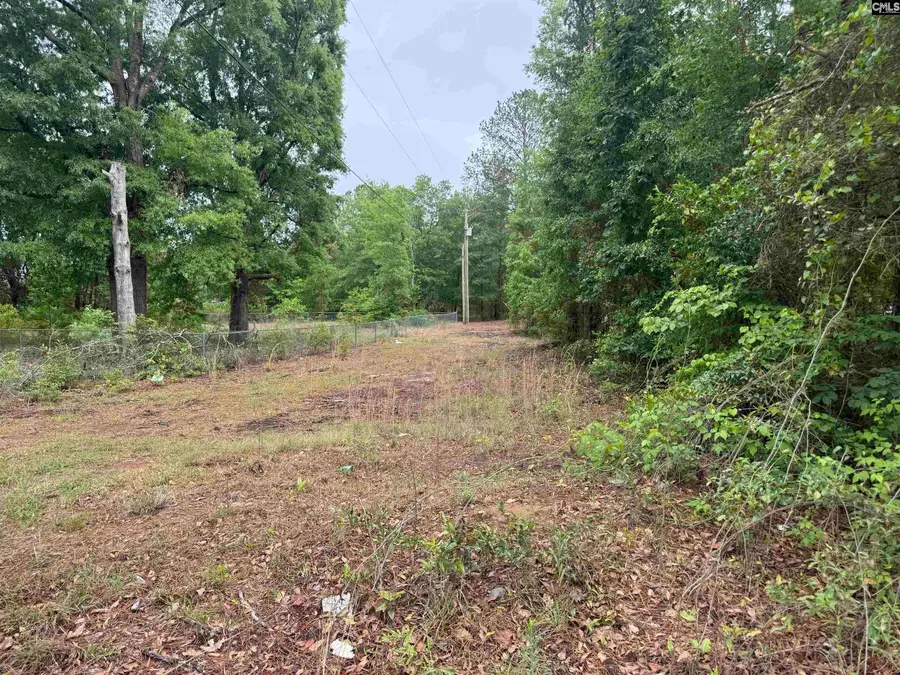 500 Bowman Avenue, Elgin, SC 29045 - #3