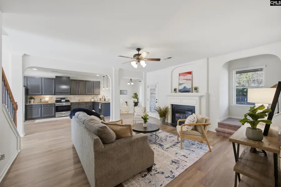 233 Blue Indigo Circle, Irmo, SC 29212 - #3