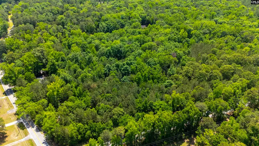 1389 Fulmer Road, Blythewood, SC 29016 - #3