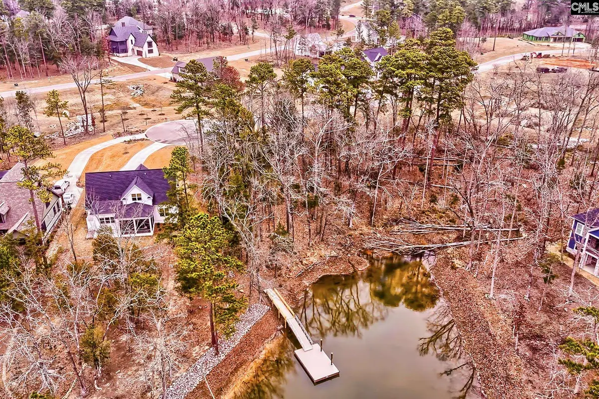 925 Salisbury Court, Chapin, SC 29036 - #1