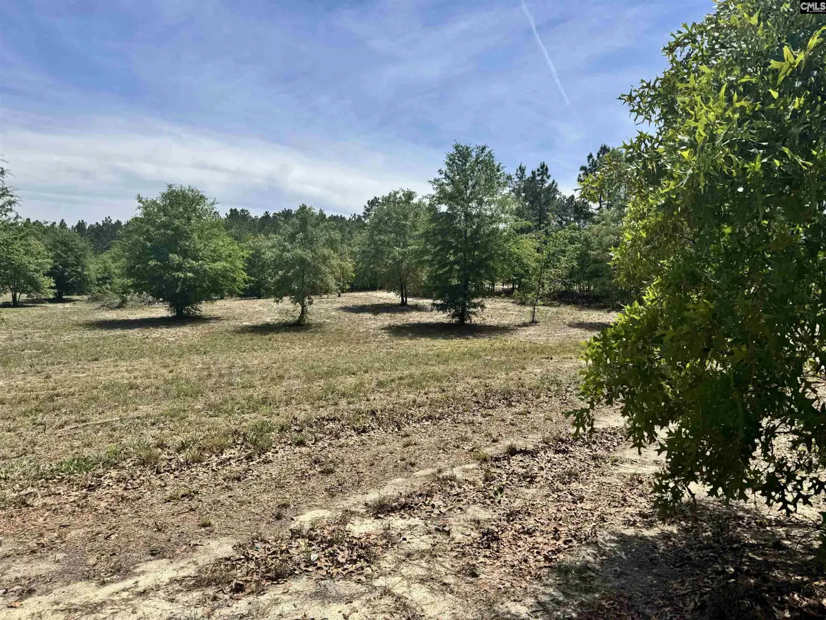 1353 Cheraw Rd, Cassatt, SC 29032 - #1