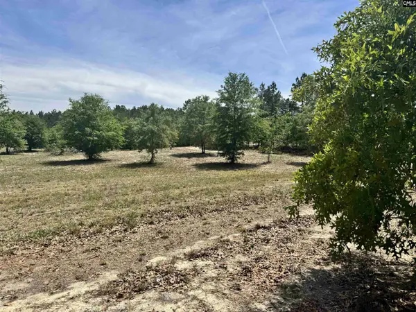 1353 Cheraw Rd, Cassatt, SC 29032