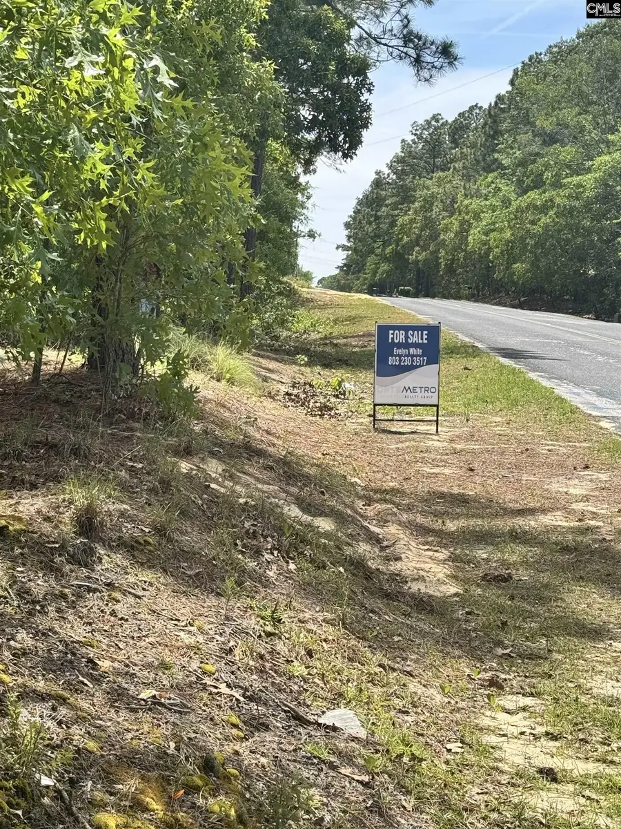 1353 Cheraw Rd, Cassatt, SC 29032 - #2