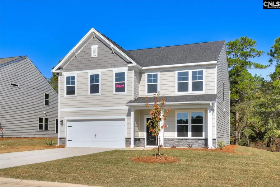 331 Granny's Cut Way, Chapin, SC 29036 - #2