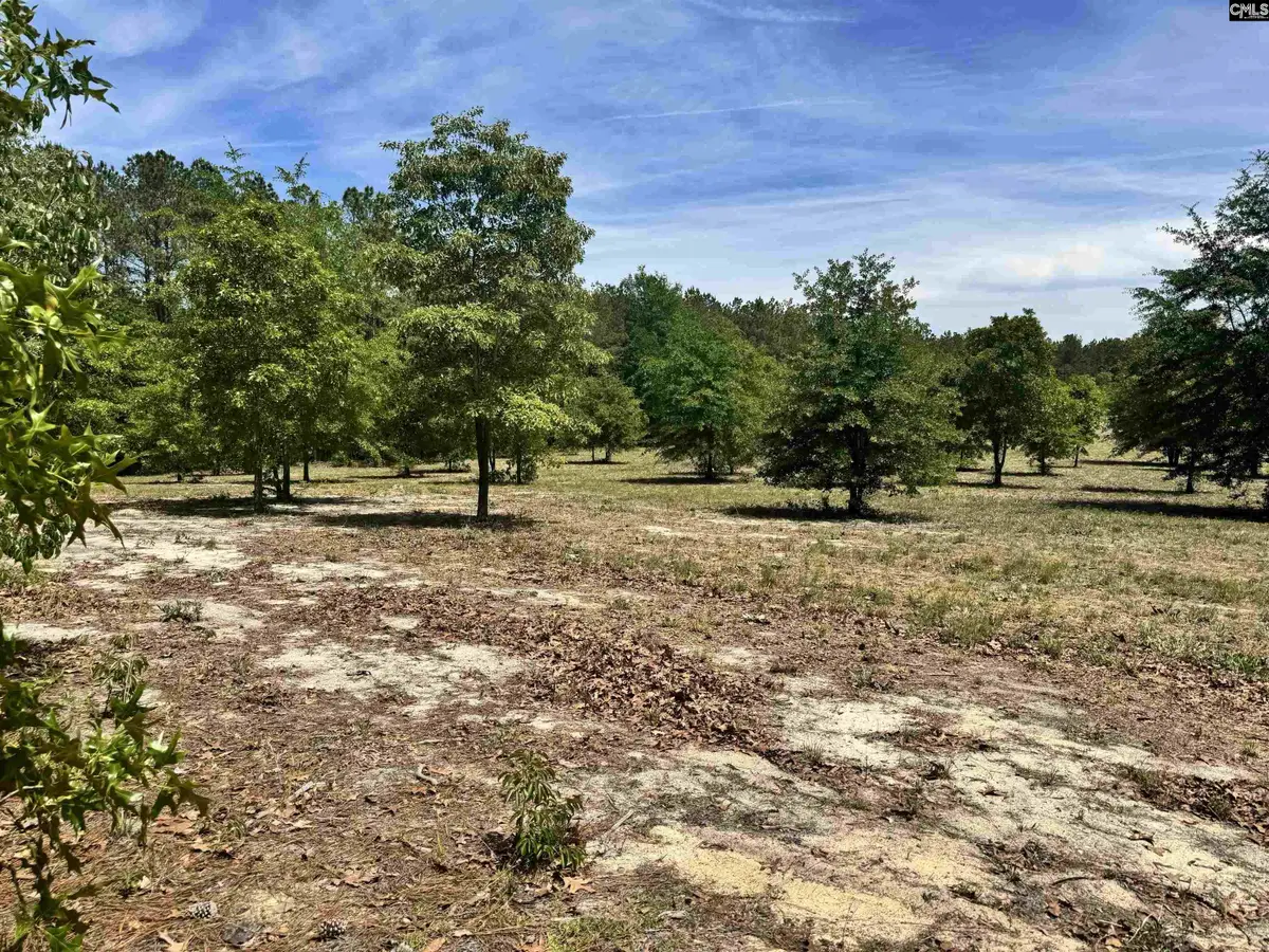 1345 Cheraw Rd, Cassatt, SC 29032 - #1