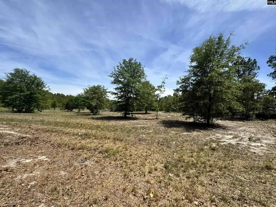 1345 Cheraw Rd, Cassatt, SC 29032 - #3