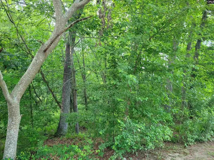 0 River Ridge Road, Columbia, SC 29210 - #2