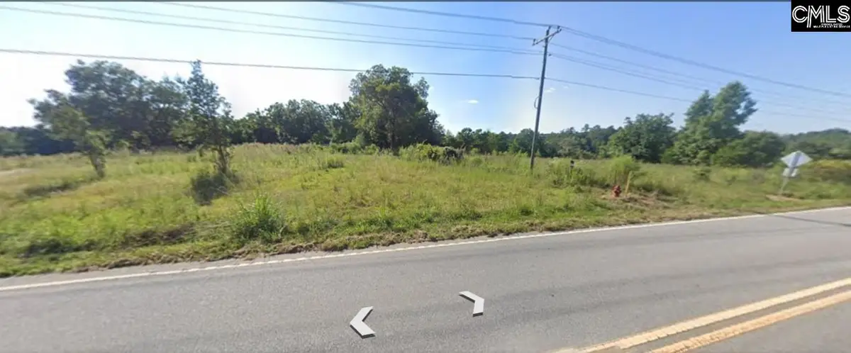 1304 Amicks Ferry Road, Chapin, SC 29036 - #1