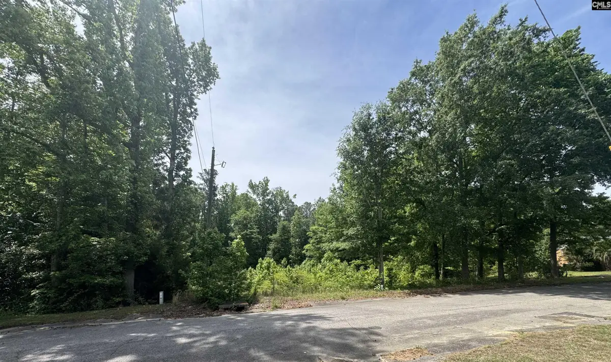 451 Kendall Drive, Batesburg, SC 29006 - #1