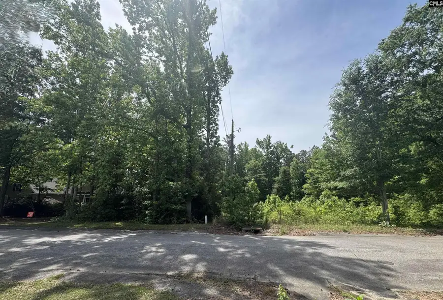 451 Kendall Drive, Batesburg, SC 29006 - #2