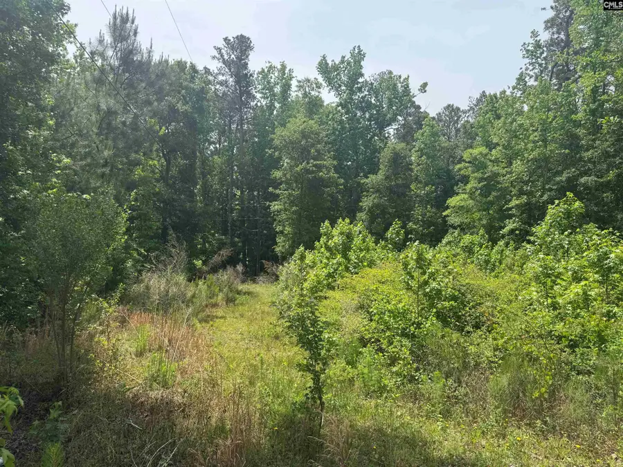 451 Kendall Drive, Batesburg, SC 29006 - #3