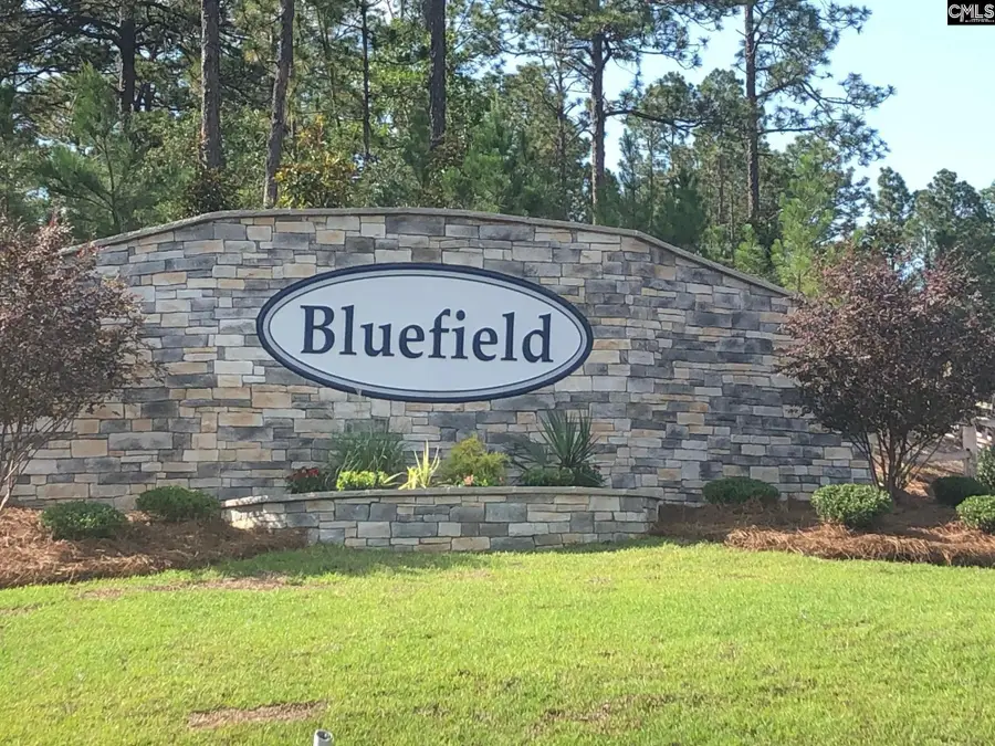 3519 Stedding Place, Lexington, SC 29073 - #2