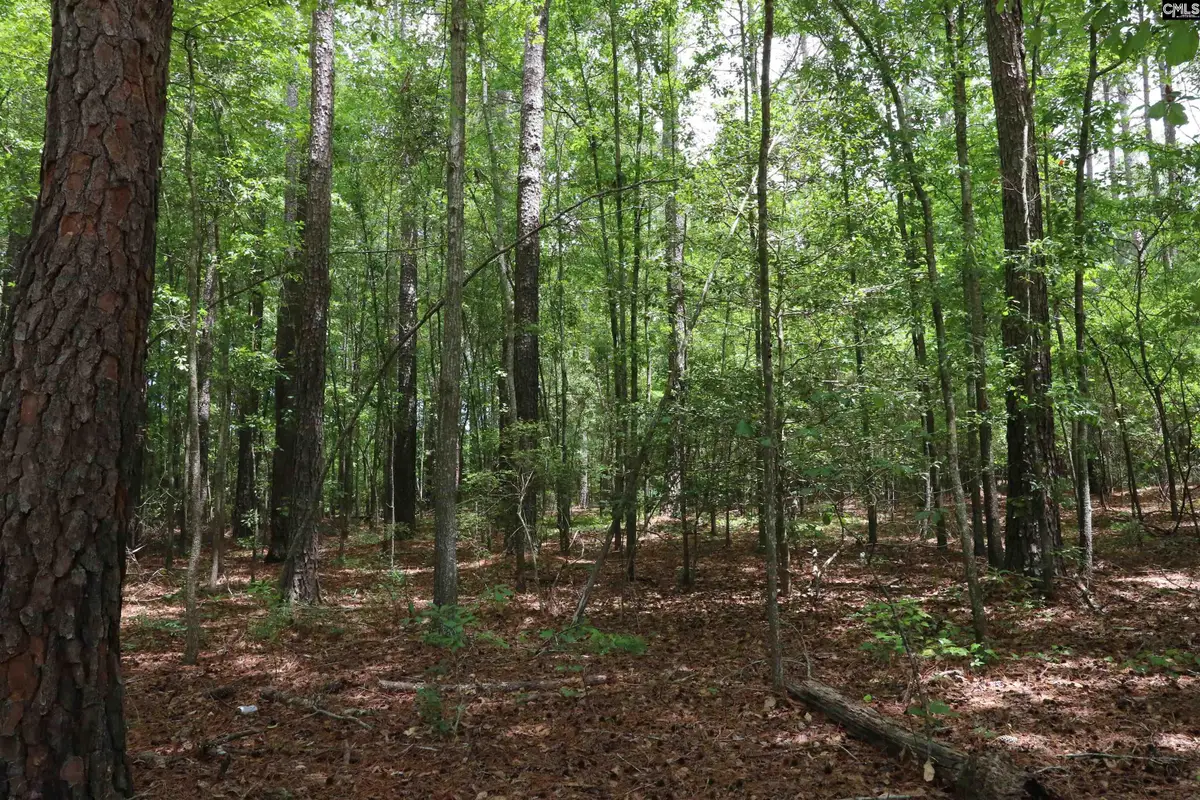 1091 Pine Grove Road, Leesville, SC 29070 - #1