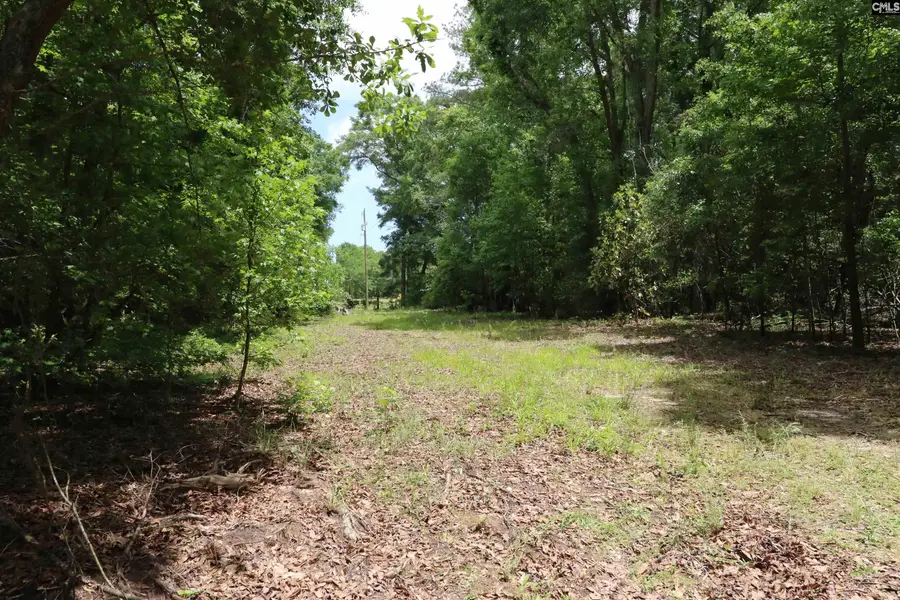 1091 Pine Grove Road, Leesville, SC 29070 - #2