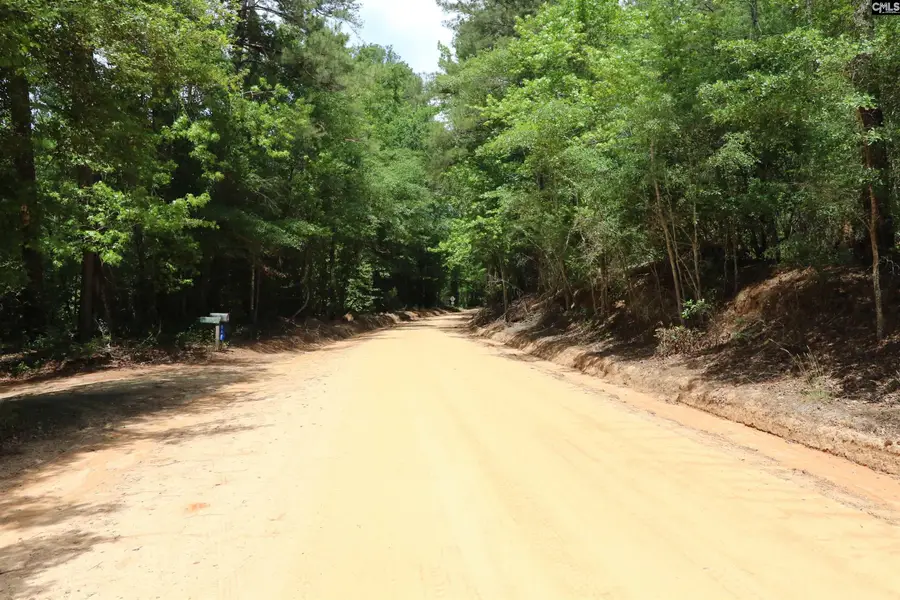 1091 Pine Grove Road, Leesville, SC 29070 - #3