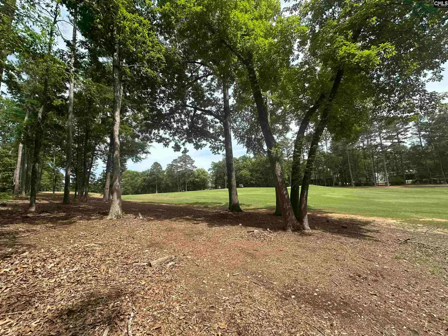 537 Misty Banks Drive, Chapin, SC 29036 - #3