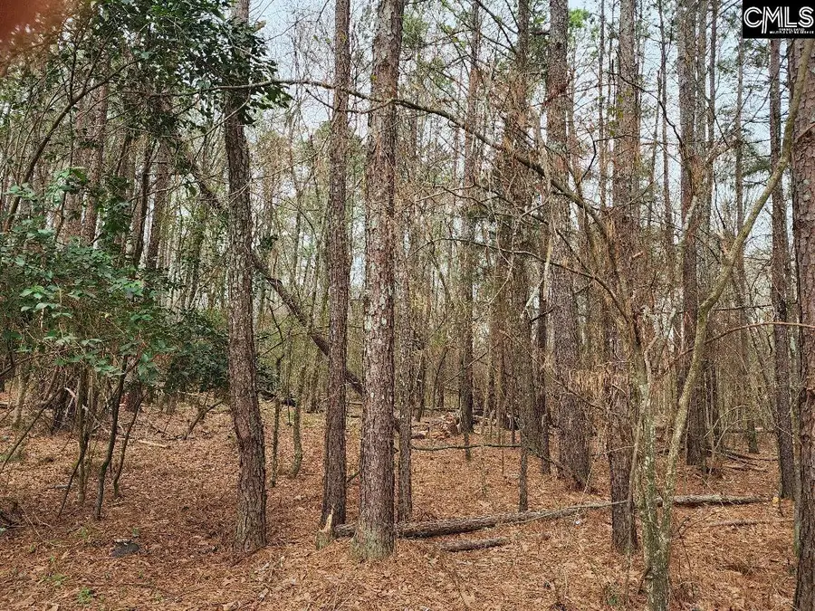 W on Giff Street, Newberry, SC 29108 - #3