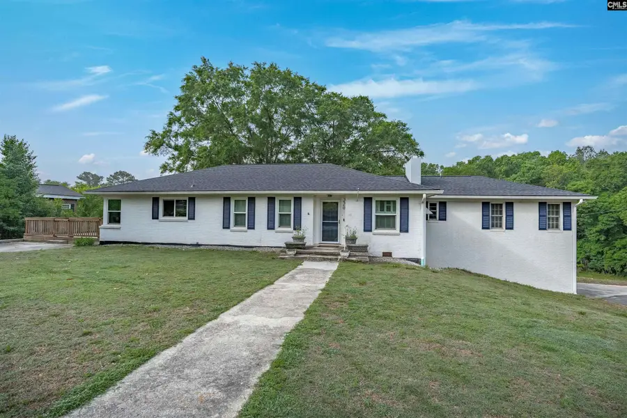 220 Nance Street, Whitmire, SC 29178 - #3